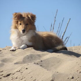 Liberty at the beach
