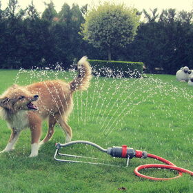 Sprinklers are fun