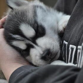 Comfortable slapen