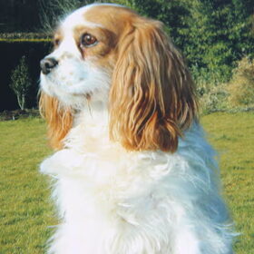 Queeny