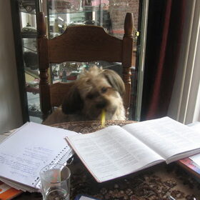 Barney helpt met huiswerk