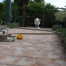 Jump.