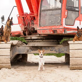 Zwaar werk
