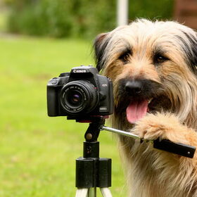 Meneer de fotograaf