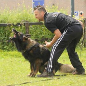 Pakwerkdemonstratie