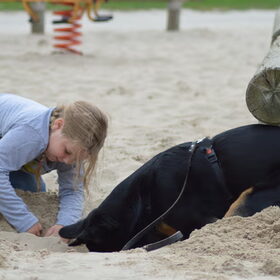 samen graven