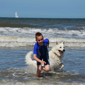 Baywatch