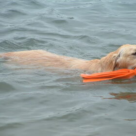eerste keer te water