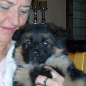Sissi als puppie