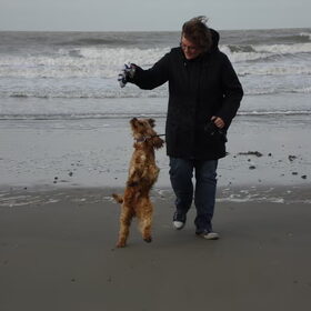 aan de zee...