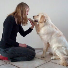 High five!