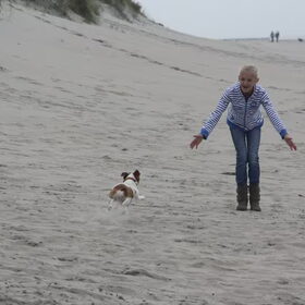Vliegend hondje