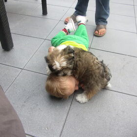 Heerlijk knuffelen met de pup.