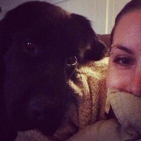 Balou functioneert als deken op de bank