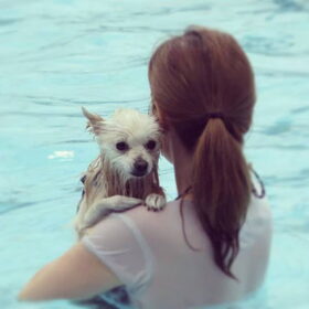 Vertrouwen