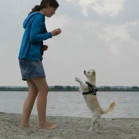 Plezier maken op vakantie !