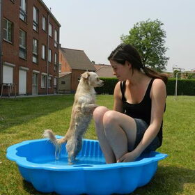 Verkoeling in de zomer