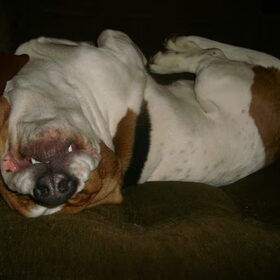 Fynn is moe
