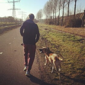 Hardlopen met de baas