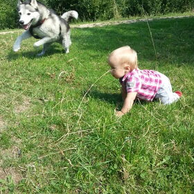 Samen jagen