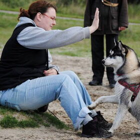 hi 5
