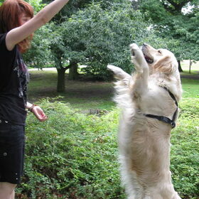Noa doet "op!"