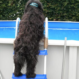 Lady haar waterpret!