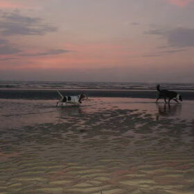 Avondwandeling op het strand