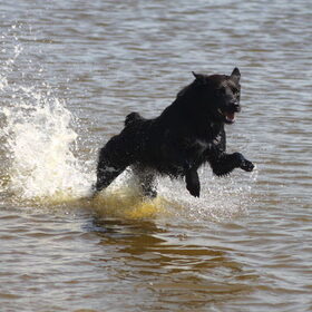 Lena's eerste bezoekje aan het strand