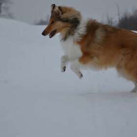 jippie sneeuw!