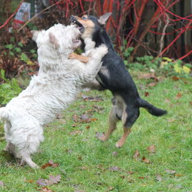 Samen spelen :)