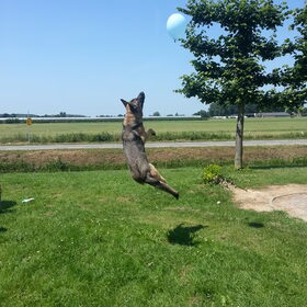 Geen titel