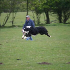 I can Fly