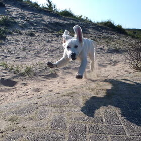 Jump!