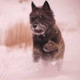 Snow fun!