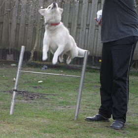 Sascha weet wel raad met deze wedstrijd ;)