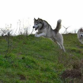 Jump!