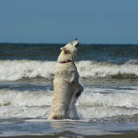 Happen naar water