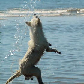 Super jump