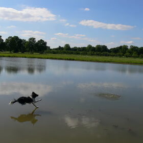 diemer op springt op volle snelheid