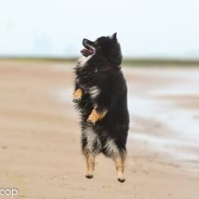 Jump