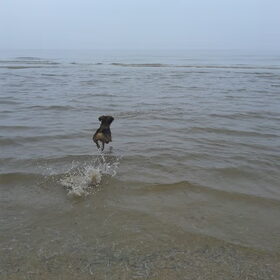 Jump