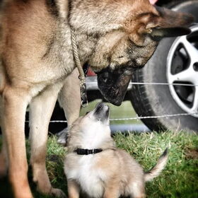 first kiss :p