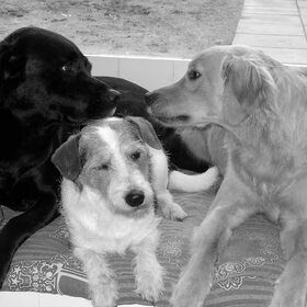 Liefde is.. met z'n 3en een mand delen ;)