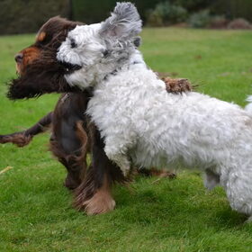Best friends!