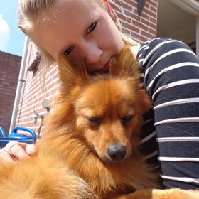 Liefde