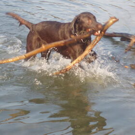 Geen titel