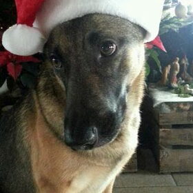 wat.... de kerstman bestaat niet.........