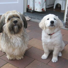 Barney en Mitch