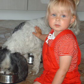 turbo vind alles prima